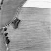 Craigie Burn, oblique aerial view, taken from the SSW, centred on the cropmarks of field boundaries and a settlement.