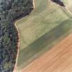 Inveravon, oblique aerial view, taken from the SE, centred on the cropmarks of Roman Temporary Camps.