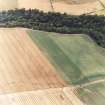 Inveravon, oblique aerial view, taken from the NNE, centred on the cropmarks of Roman Temporary Camps.