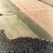 Inveravon, oblique aerial view, taken from the SSW, centred on the cropmarks of Roman Temporary Camps.