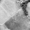 Oblique aerial view centred on the cropmarks of the Roman Temporary Camp, taken from the N.