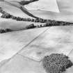 Oblique aerial view centred on the cropmarks of the Roman temporary camp, taken from the ENE.
