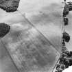 Oblique aerial view centred on the cropmarks of the Roman temporary camp, taken from the NW.