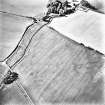 Skirling mains, oblique aerial view, taken from the S, centred on the cropmarks of a possible settlement.