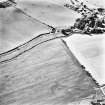 Skirling mains, oblique aerial view, taken from the SE, centred on the cropmarks of a possible settlement.