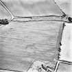 Skirling mains, oblique aerial view, taken from the E, centred on the cropmarks of a possible settlement.