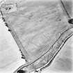 Skirling mains, oblique aerial view, taken from the NW, centred on the cropmarks of a possible settlement.