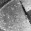 On-line Digital Images