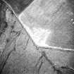 On-line Digital Images