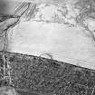 Morton Hill, oblique aerial view, taken from the NE, showing a sheepfold protruding from woodland in the centre of the photograph, and an area of rig in the top half.