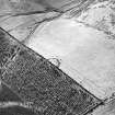 Morton Hill, oblique aerial view, taken from the N, showing a sheepfold protruding from woodland in the centre of the photograph, and an area of rig in the top right-hand corner.