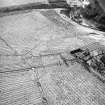 Morton Hill and Cowthrople, oblique aerial view, taken from the N, showing an area of rig and furrow cultivation across the photograph, and a ruined farmstead in the centre right.