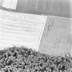 Carriden, oblique aerial view, taken from the NNE, centred on the cropmarks of a field-system.