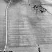 Oblique aerial view centred on the cropmarks of the plantation bank and field-system, taken from the WNW.