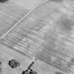 Oblique aerial view centred on the cropmarks of the plantation bank and field-system, taken from the WSW.