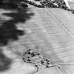 Oblique aerial view centred on the cropmarks of the plantation bank and field-system, taken from the SE.