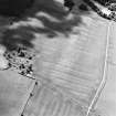 Oblique aerial view centred on the cropmarks of the plantation bank and field-system, taken from the E.