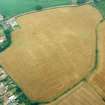 Oblique aerial view of Muirhouses centred on the cropmarks of a Roman temporary camp, taken from the NE.