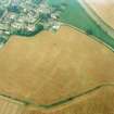 Oblique aerial view of Muirhouses centred on the cropmarks of a Roman temporary camp, taken from the NW.