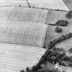 Oblique aerial view centred on the cropmarks of the plantation bank, taken from the NNE.