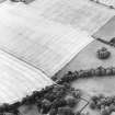 Oblique aerial view centred on the cropmarks of the plantation bank, taken from the NNW.