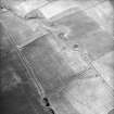 Oblique aerial view, taken from the ENE, centred on the cropmark of an enclosure.