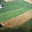 Oblique aerial view centred on the cropmarks of the fort, taken from the SSE.