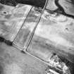Carlops, Spittal: air photograph of Roman temporary camps and cropmarks.