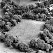 Tocherknowe, oblique aerial view, taken from the NNW, centred on the cropmarks of a Roman fortlet.