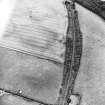 Oblique aerial view centred on the cropmarks of the possible enclosure, taken from the NE.