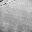 Oblique aerial view centred on the cropmarks of the settlement, taken from the NW.