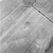 Oblique aerial view centred on the cropmarks of a possible settlement, taken from the NW.
