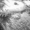 Oblique aerial view of Northshield Rings centred on the remains of a fort, taken from the NE.