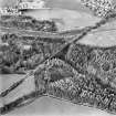 Oblique aerial view of Bilston Viaduct centred on the railway viaduct, taken from the SE.