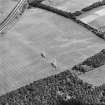 Oblique aerial view centred on the cropmarks of the pit-alignment, taken from the S.