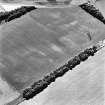 Castlesteads, oblique aerial view, taken from the N, centred on the cropmarks of a pit alignment. A cropmark enclosure is visible in the top centre of the photograph.