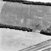 Castlesteads, oblique aerial view, taken from the NW, centred on the cropmarks of a pit alignment and enclosure.