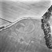 Oblique aerial view.