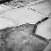 Oblique aerial view of Langlaw centred on the cropmarks of a settlement, linear cropmarks and possible unenclosed settlement, taken from the S.