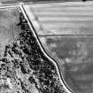 Oblique aerial view centred on the cropmarks of the settlement, taken from the W.