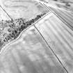 Oblique aerial view centred on the cropmarks of the settlement, taken from the NW.