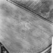 Lang Side, enclosure: air photograph of cropmark