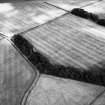 Oblique aerial view.