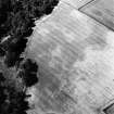 Carrington Barns, enclosure and cropmarks: oblique air photograph