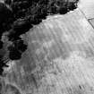 Carrington Barns, enclosure and cropmarks: oblique air photograph