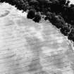 Carrington Barns, enclosure and cropmarks: oblique air photograph