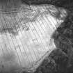 Oblique aerial view centred on the cropmarks of the enclosure and further cropmarks, taken from the SW.