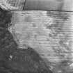 Carrington Barns, enclosure and cropmarks: oblique air photograph
