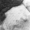 Carrington Barns, enclosure and cropmarks: oblique air photograph