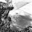 Carrington Barns, enclosure: oblique aerial view taken from the E, centred on cropmarks of an enclosure.